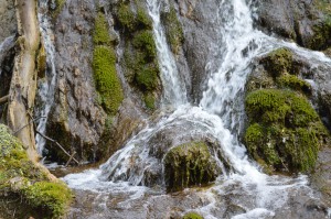 Clarke, whose experience lies primarily in the private healthcare sector, said he believes health is defined by more than just trips to the doctor's office. He said a healthy environment around Natural Bridge will benefit all of Virginia.