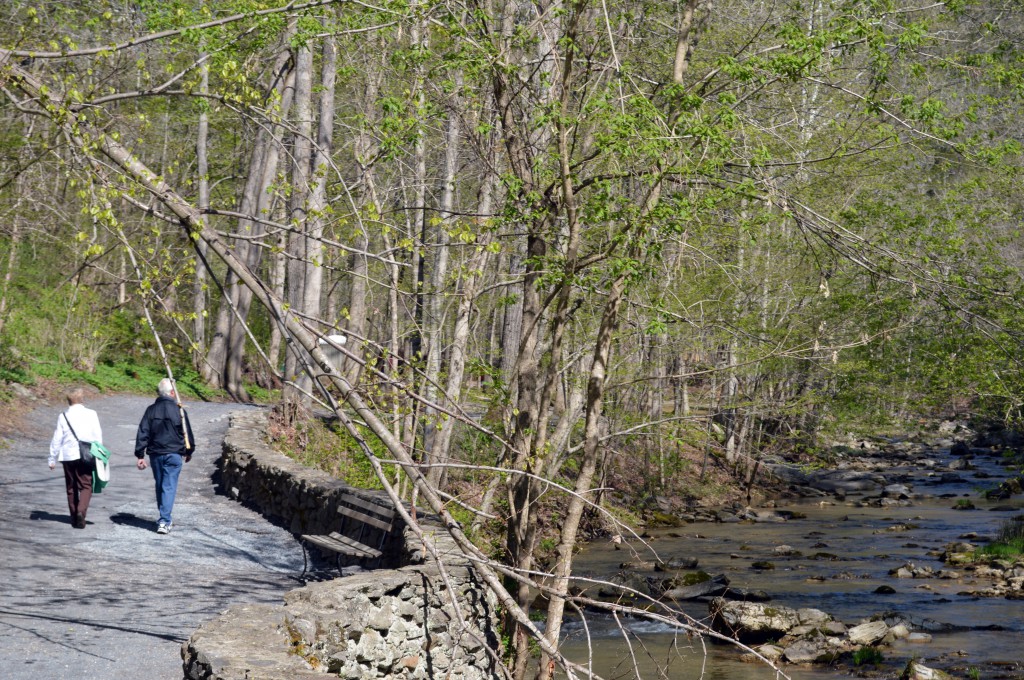 Cedar Creek trail runs under the bridge and is the primary walking path on the property. 