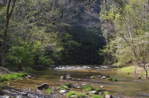 Cedar Creek flows under Natural Bridge before emptying into the James River. The creek has high amounts of chemical contaminants.