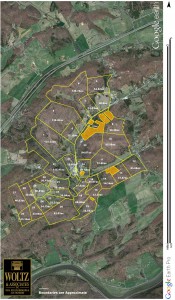 Angelo Puglisi's property could have been split up and sold in 35 pieces.