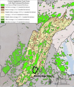 The green spaces signify larger areas of high estimated resilience by clustering smaller sites. These sites are recommended for conservation, as they contain significant natural communities. Map created by the Nature Conservancy. 